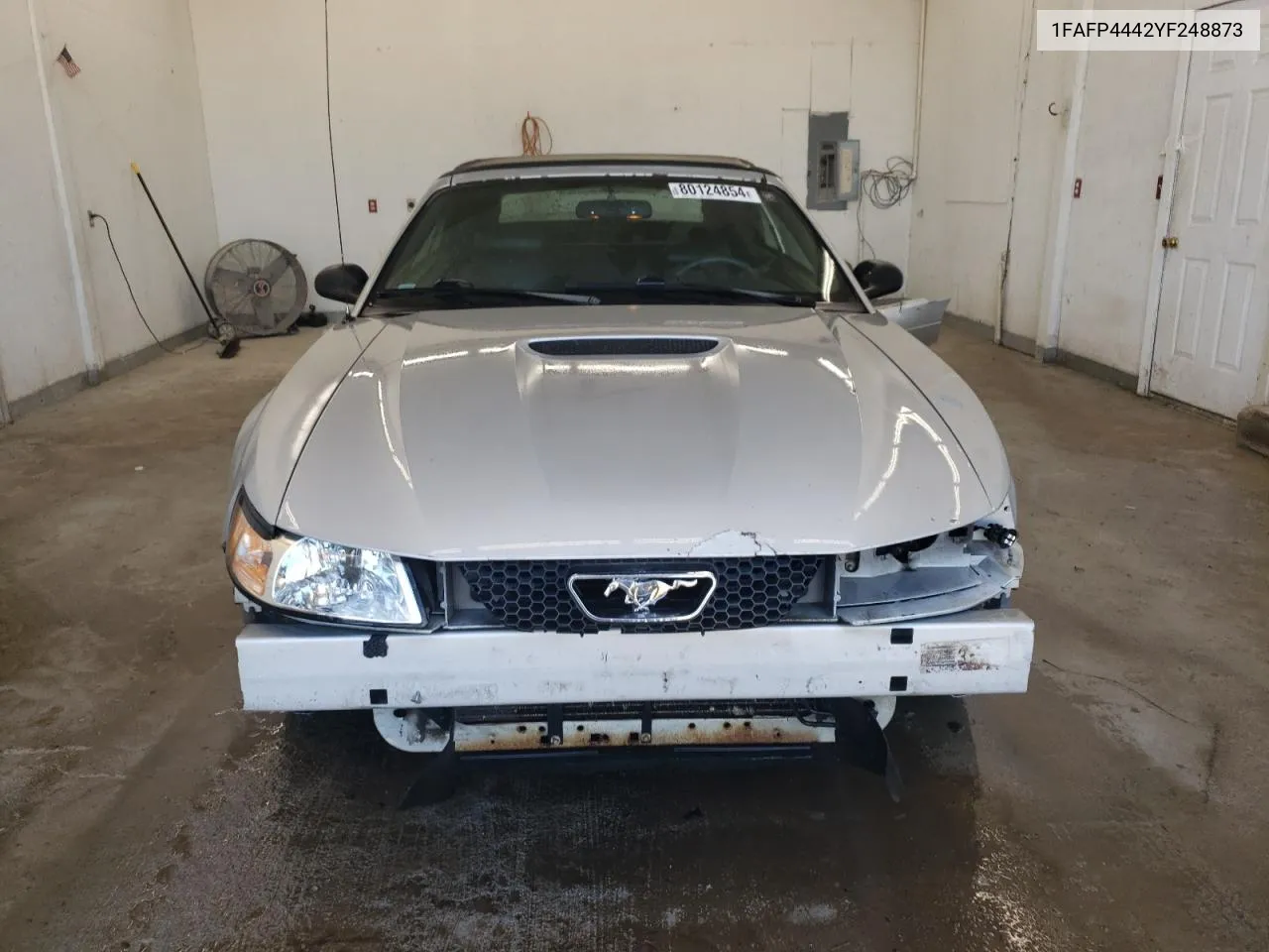 2000 Ford Mustang VIN: 1FAFP4442YF248873 Lot: 80124854