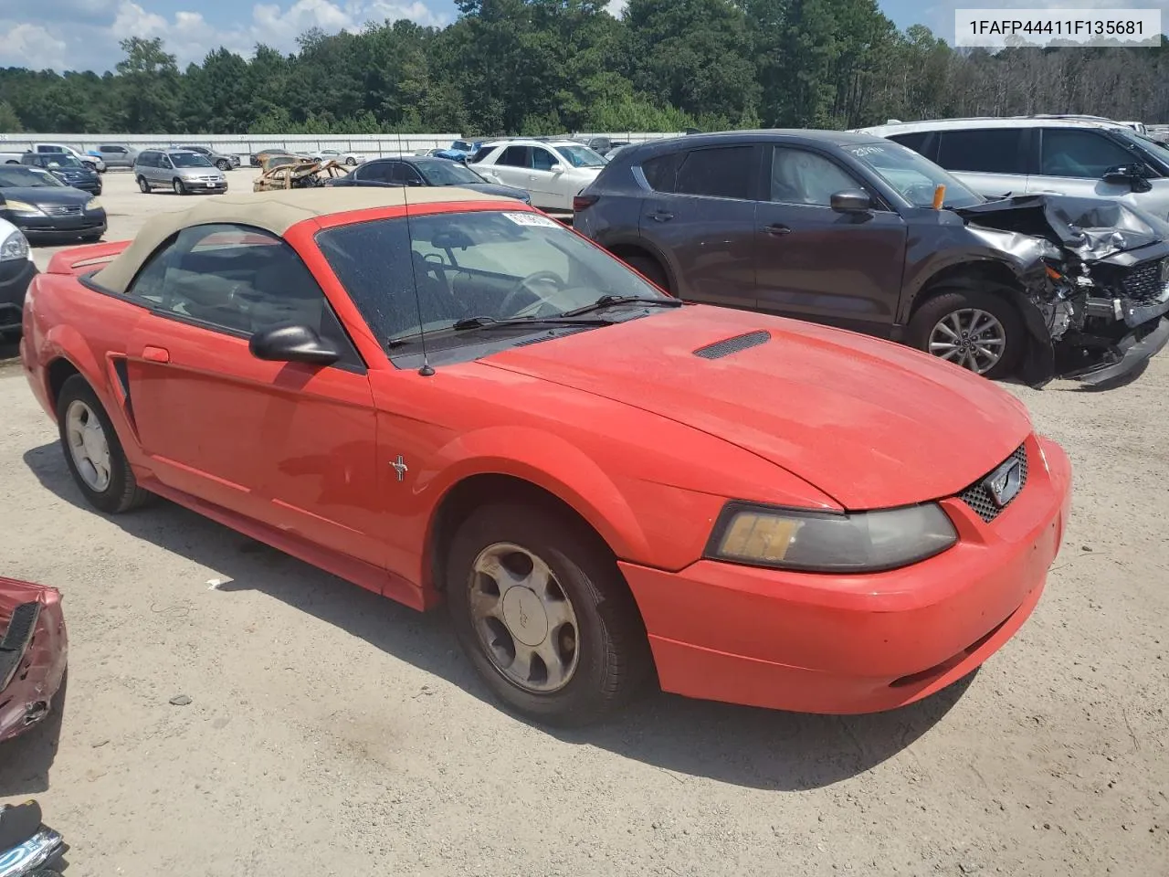 2001 Ford Mustang VIN: 1FAFP44411F135681 Lot: 67198104