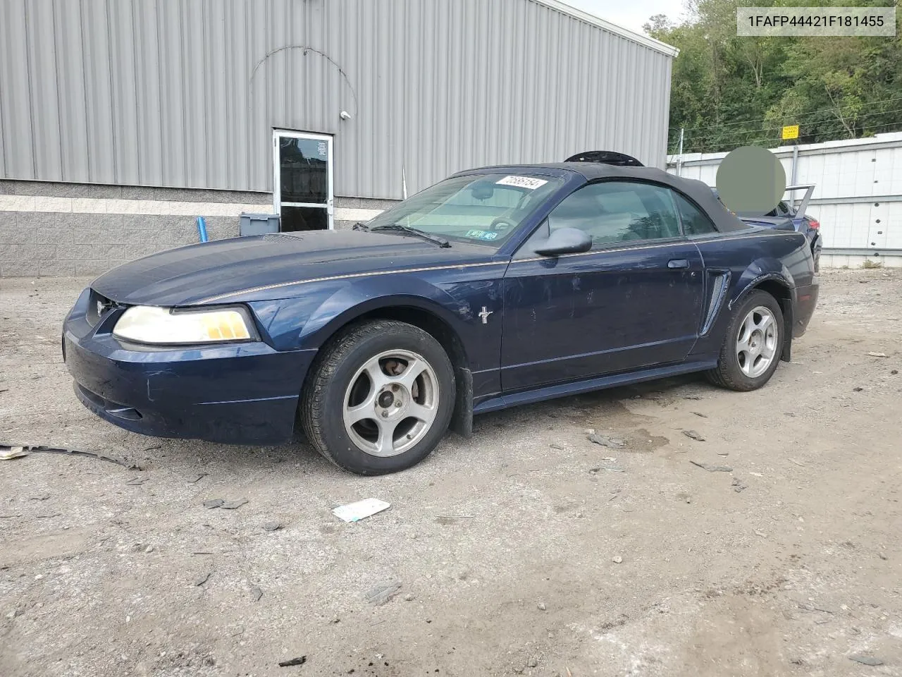 2001 Ford Mustang VIN: 1FAFP44421F181455 Lot: 70586154