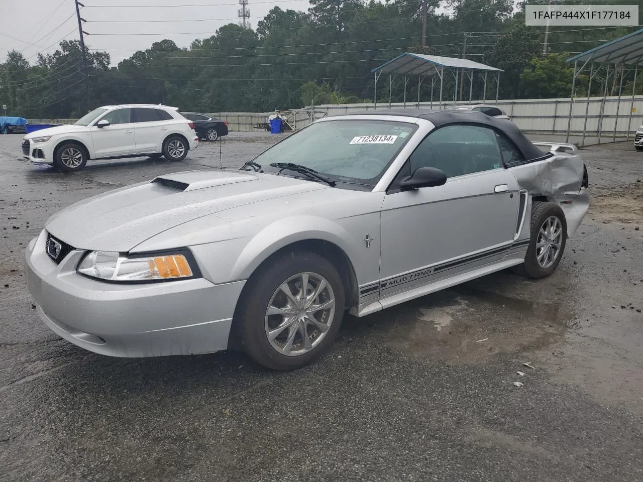 2001 Ford Mustang VIN: 1FAFP444X1F177184 Lot: 71238134