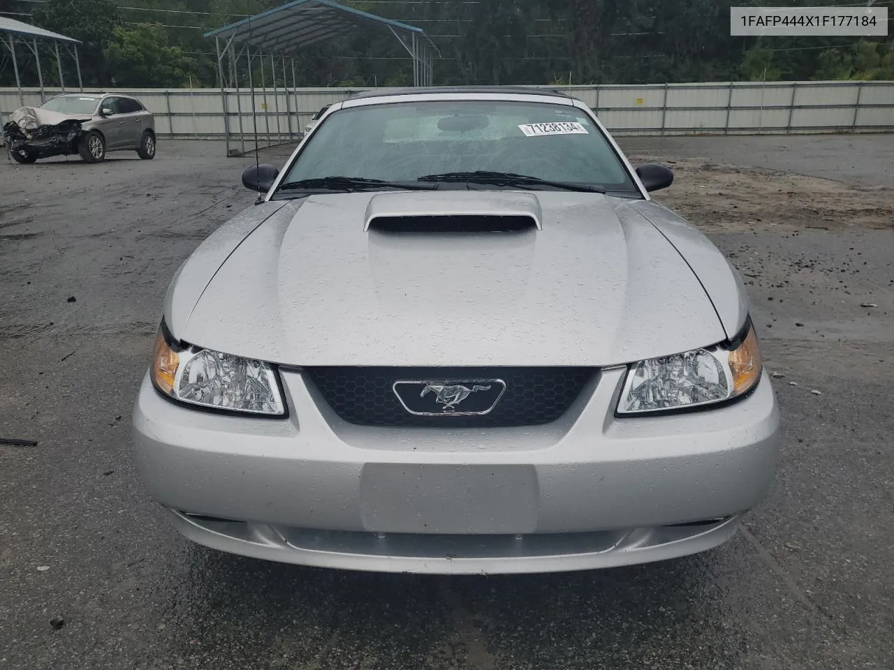 2001 Ford Mustang VIN: 1FAFP444X1F177184 Lot: 71238134