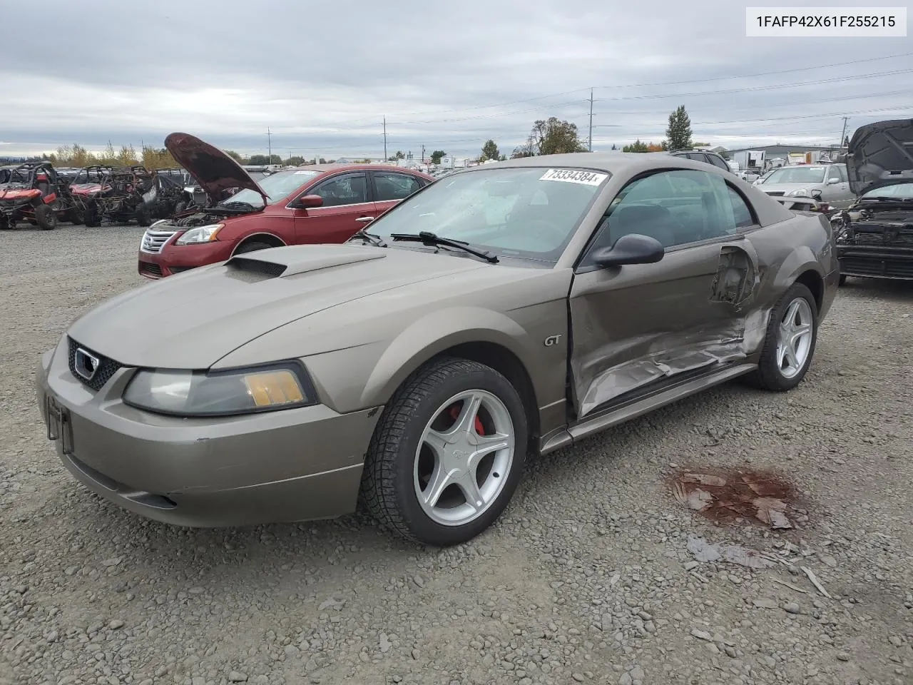 2001 Ford Mustang Gt VIN: 1FAFP42X61F255215 Lot: 73334384