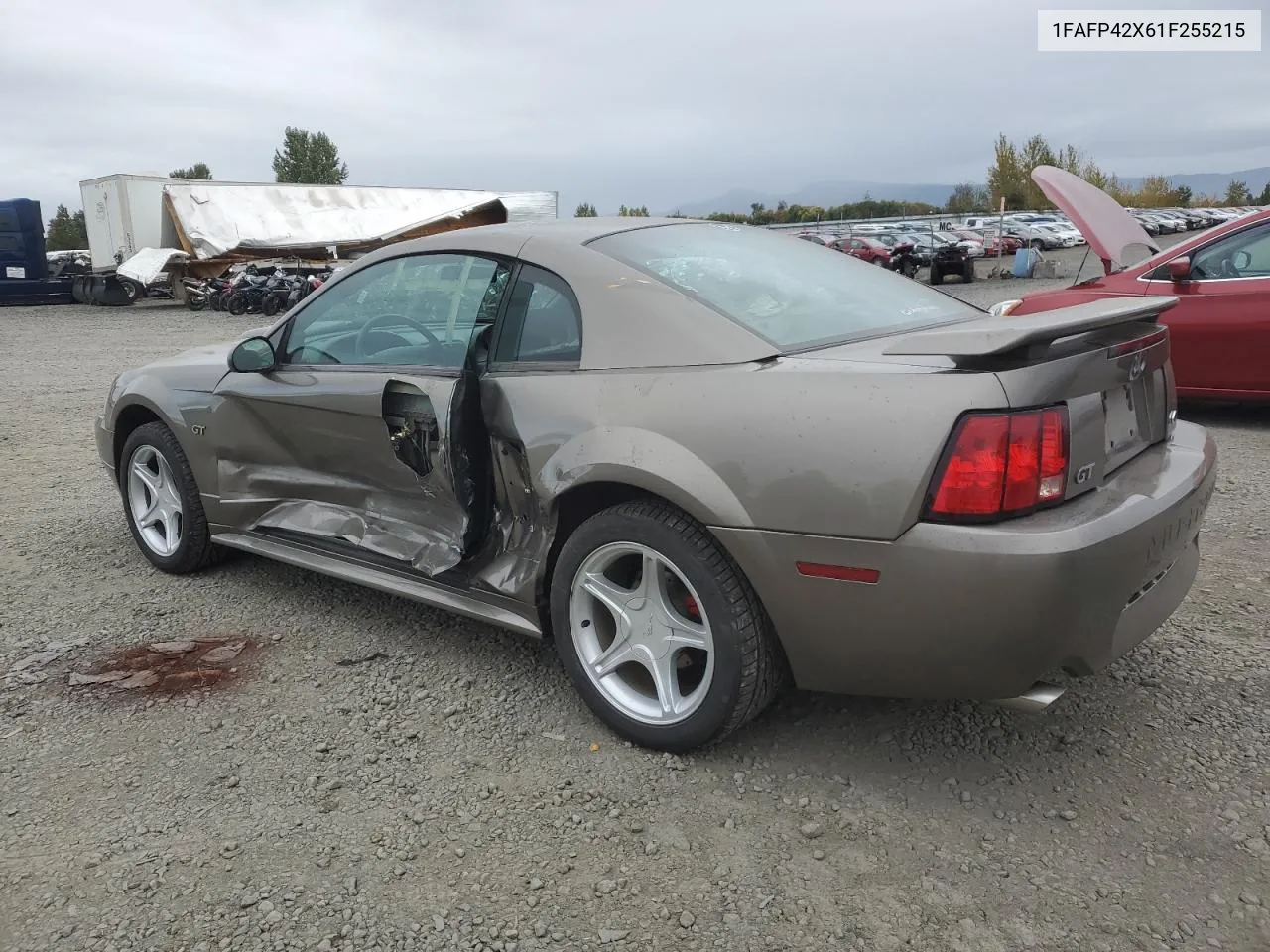 2001 Ford Mustang Gt VIN: 1FAFP42X61F255215 Lot: 73334384