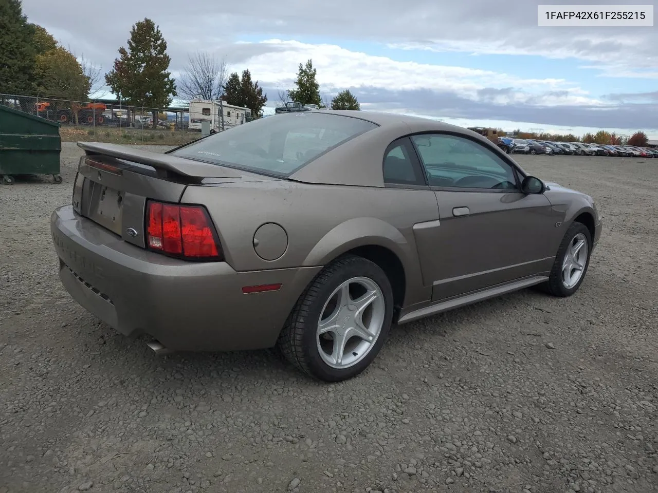 2001 Ford Mustang Gt VIN: 1FAFP42X61F255215 Lot: 73334384