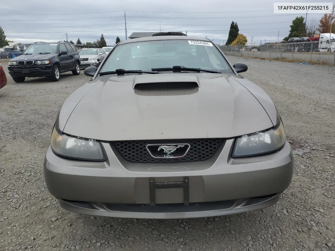 2001 Ford Mustang Gt VIN: 1FAFP42X61F255215 Lot: 73334384