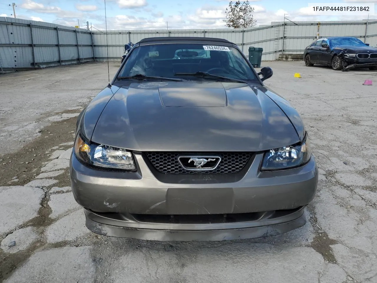 2001 Ford Mustang VIN: 1FAFP44481F231842 Lot: 76246534