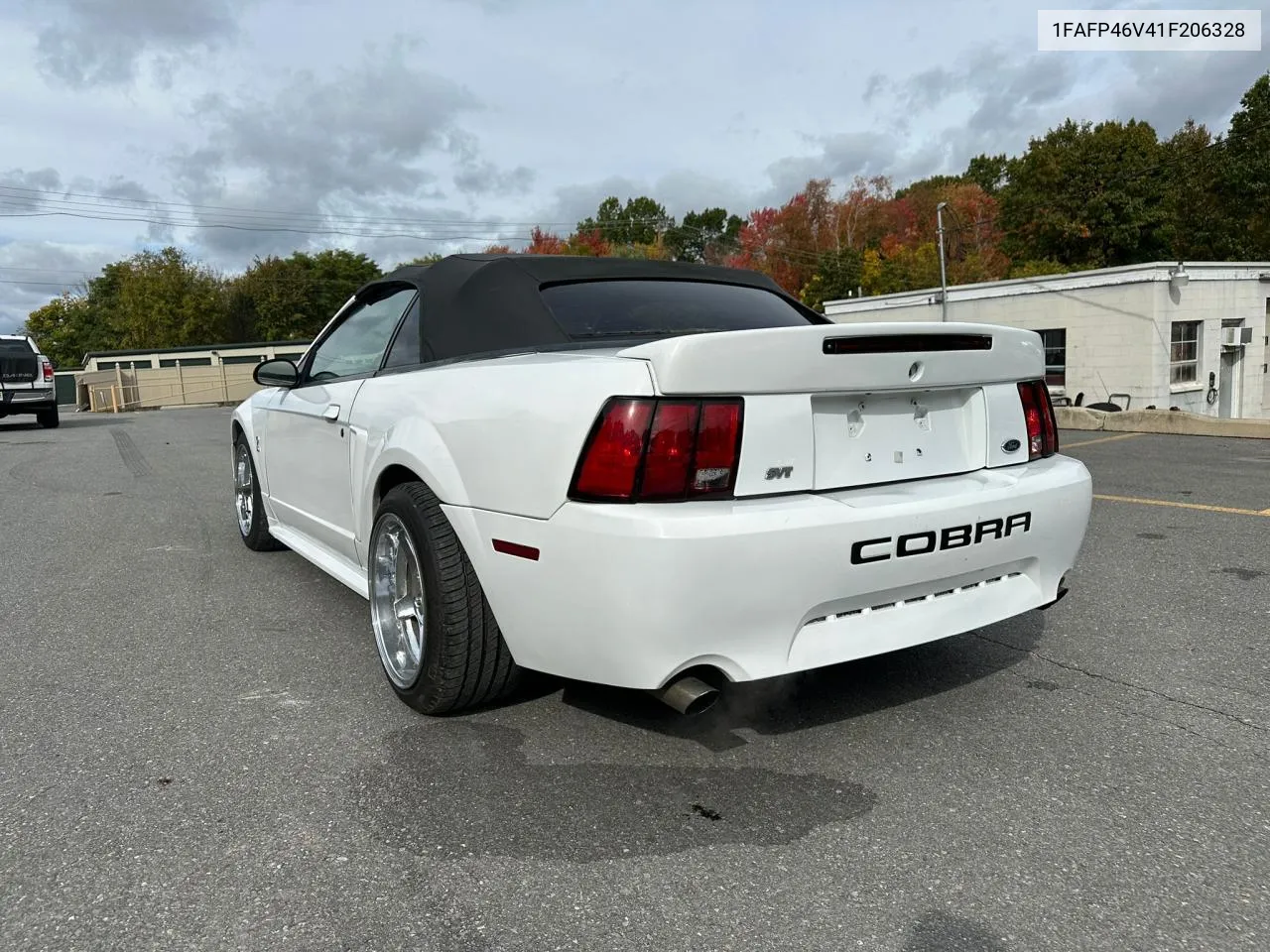 2001 Ford Mustang Cobra Svt VIN: 1FAFP46V41F206328 Lot: 76545774