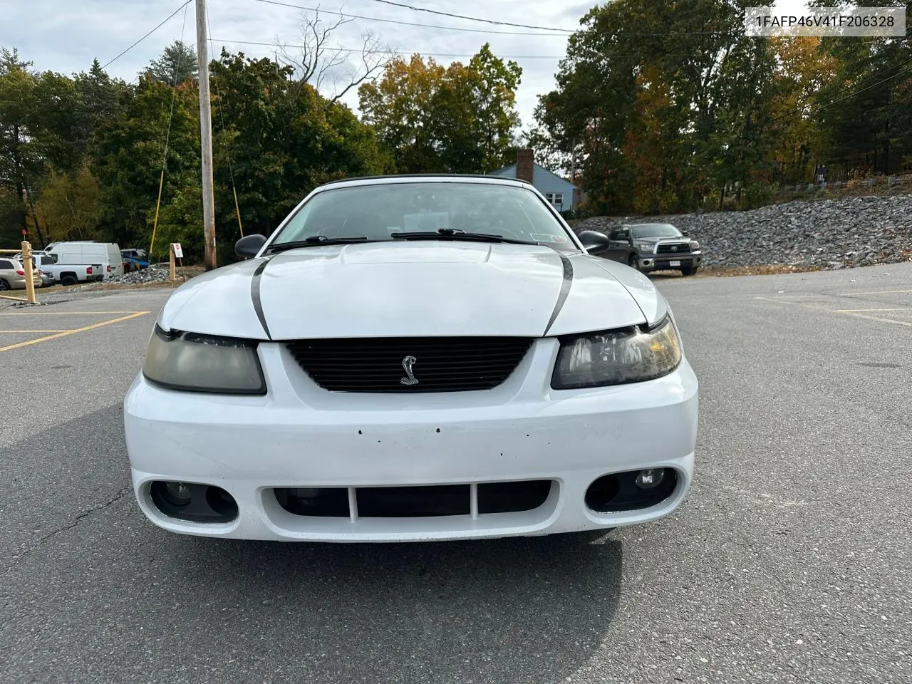 2001 Ford Mustang Cobra Svt VIN: 1FAFP46V41F206328 Lot: 76545774