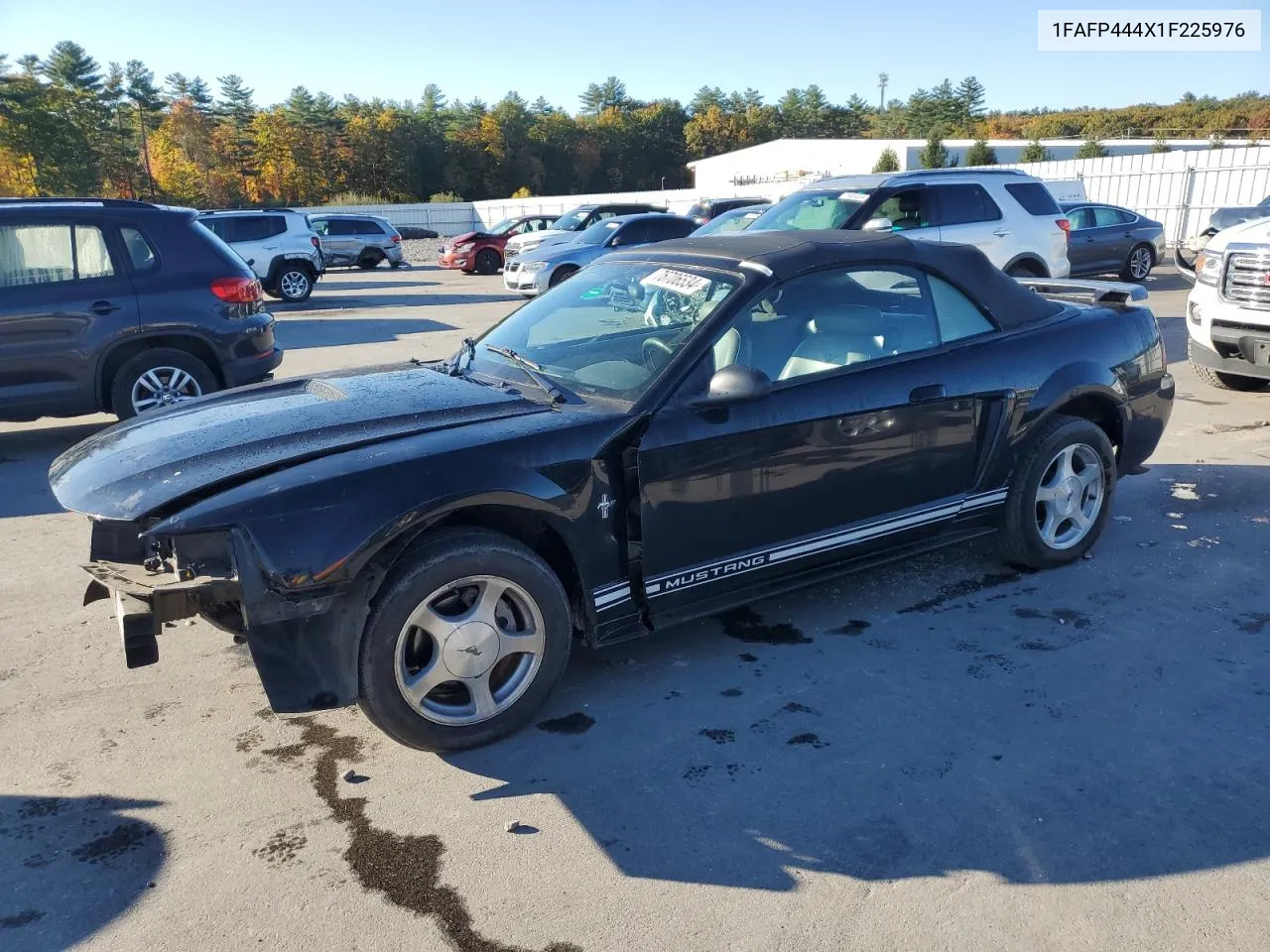 2001 Ford Mustang VIN: 1FAFP444X1F225976 Lot: 76706534