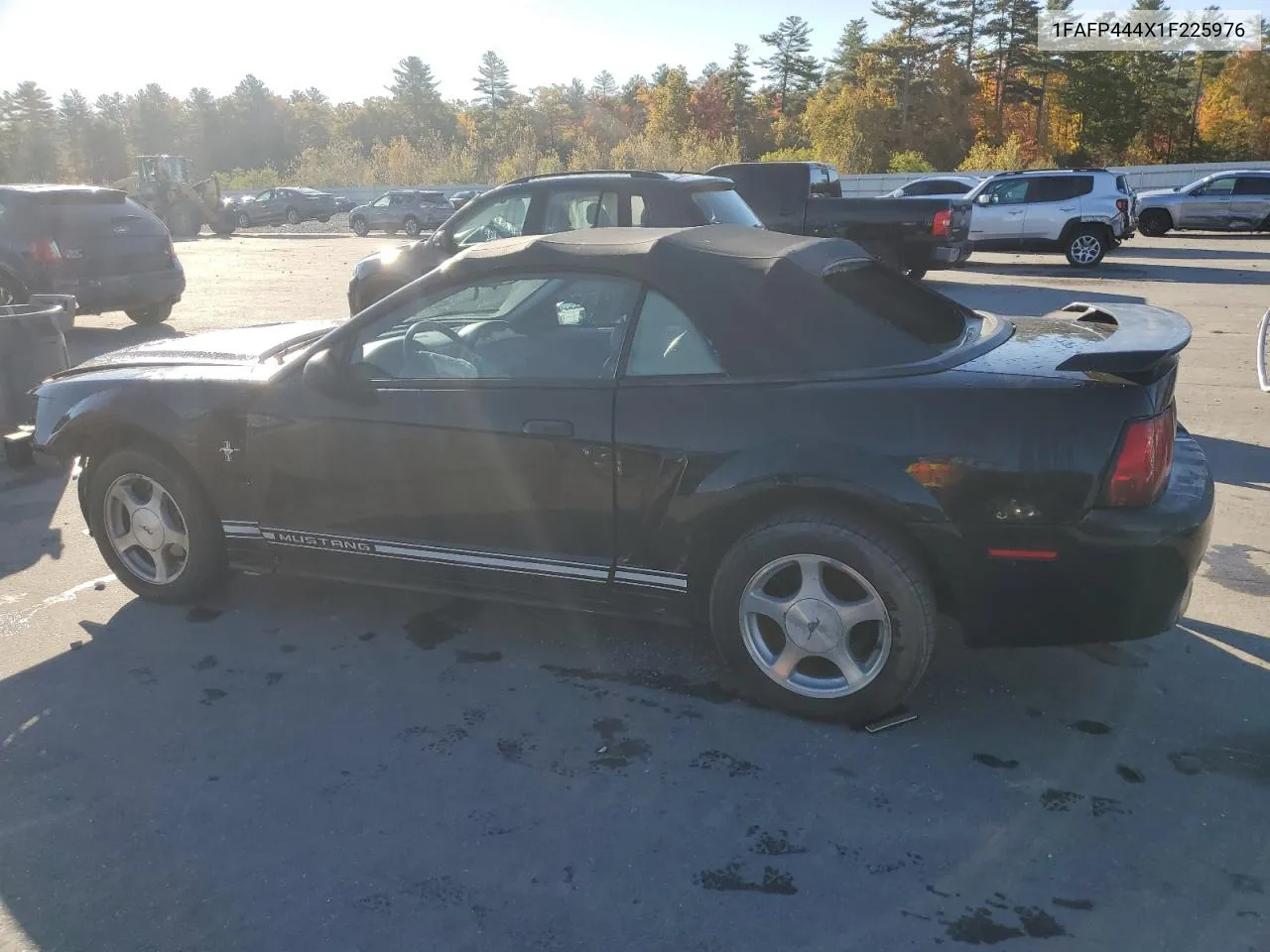 2001 Ford Mustang VIN: 1FAFP444X1F225976 Lot: 76706534