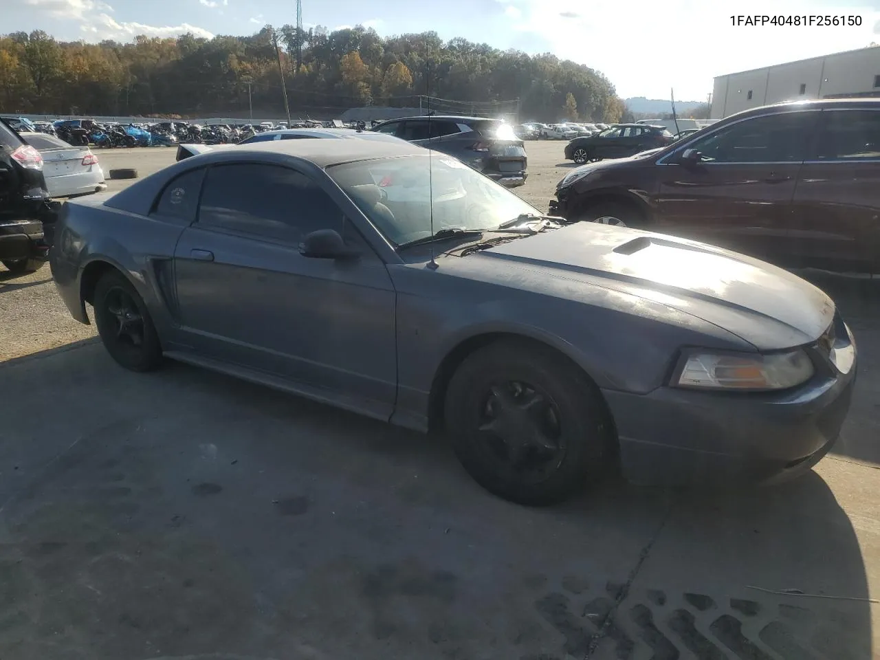 2001 Ford Mustang VIN: 1FAFP40481F256150 Lot: 78683434