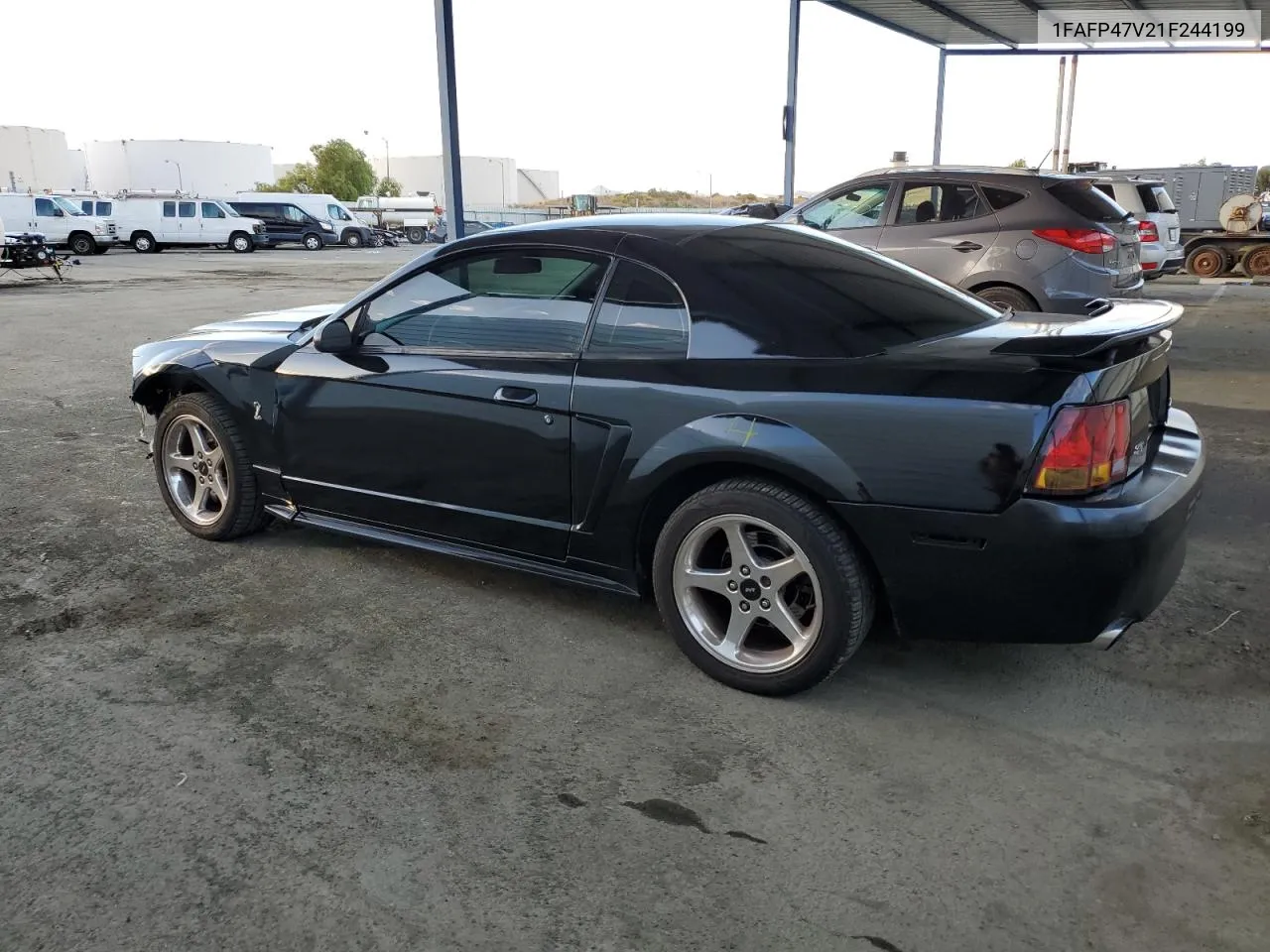 2001 Ford Mustang Cobra Svt VIN: 1FAFP47V21F244199 Lot: 80760544