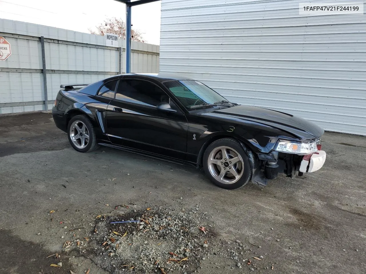 2001 Ford Mustang Cobra Svt VIN: 1FAFP47V21F244199 Lot: 80760544