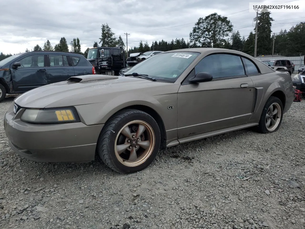 2002 Ford Mustang Gt VIN: 1FAFP42X62F196166 Lot: 59164674