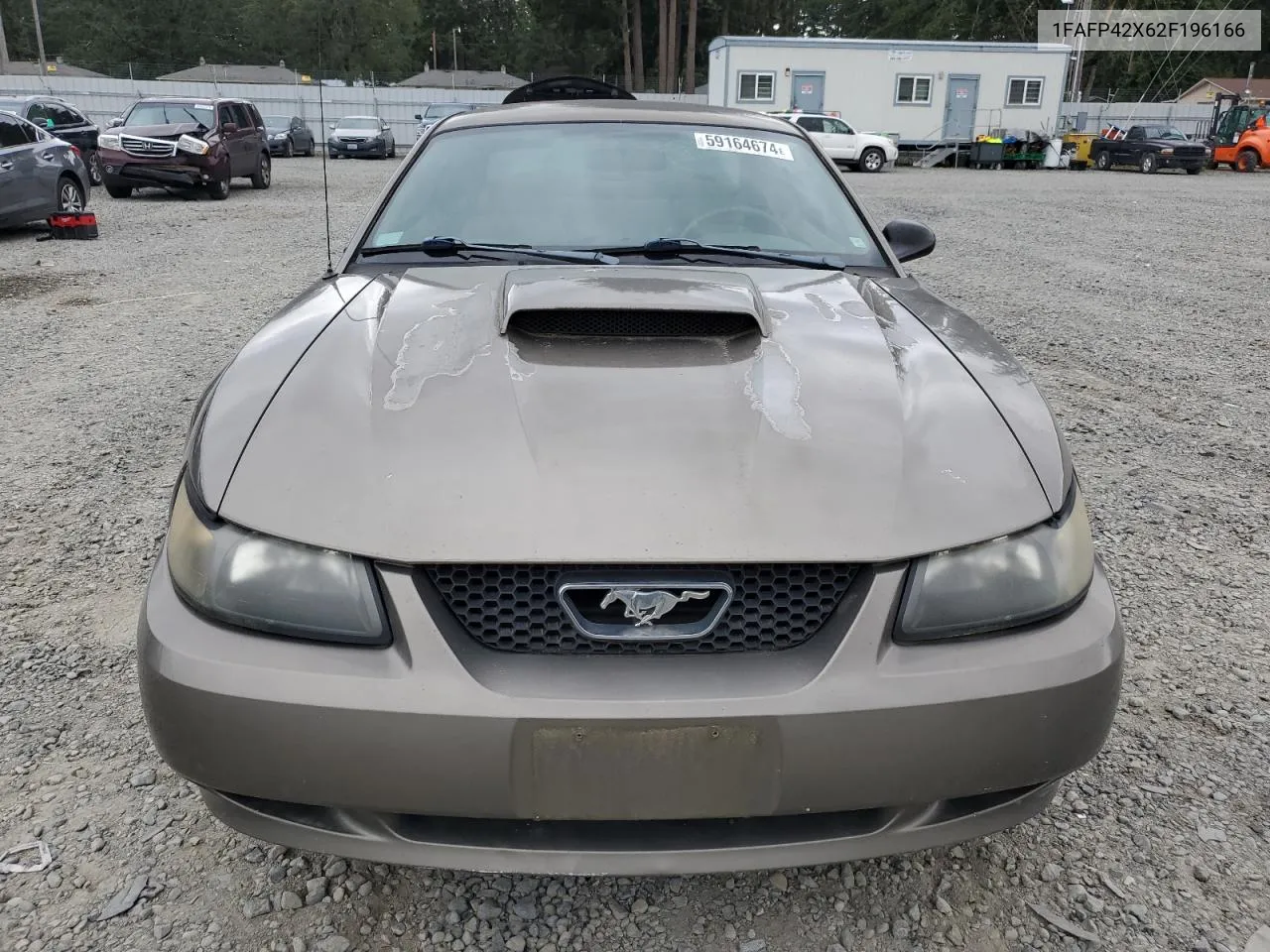 2002 Ford Mustang Gt VIN: 1FAFP42X62F196166 Lot: 59164674