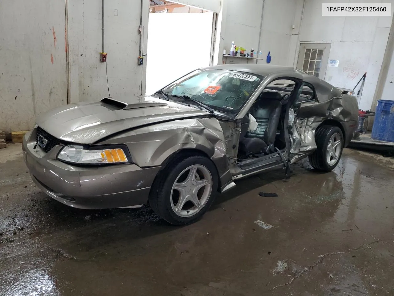 2002 Ford Mustang Gt VIN: 1FAFP42X32F125460 Lot: 66472304