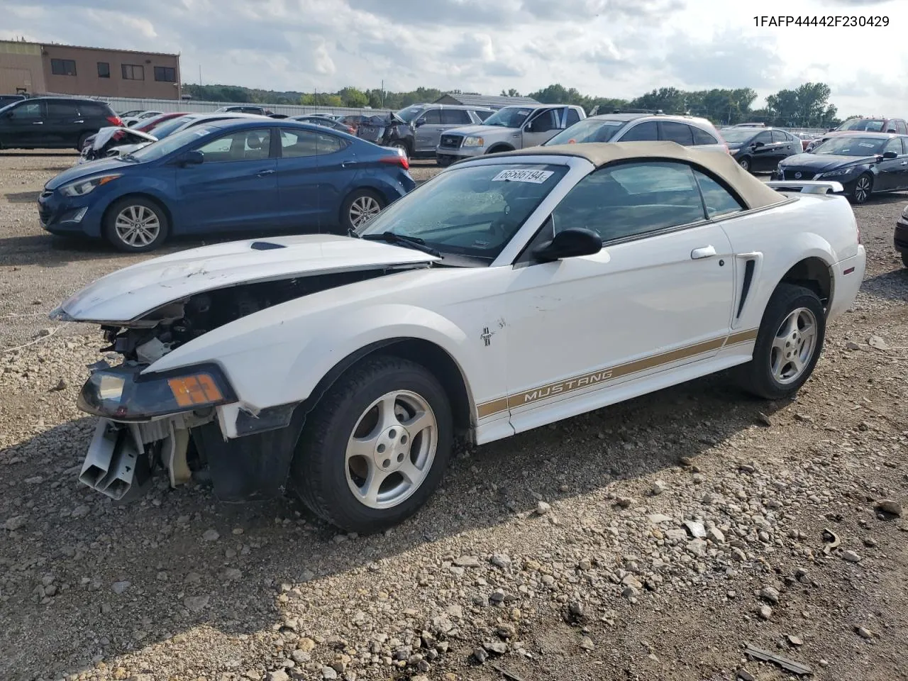 2002 Ford Mustang VIN: 1FAFP44442F230429 Lot: 66586194