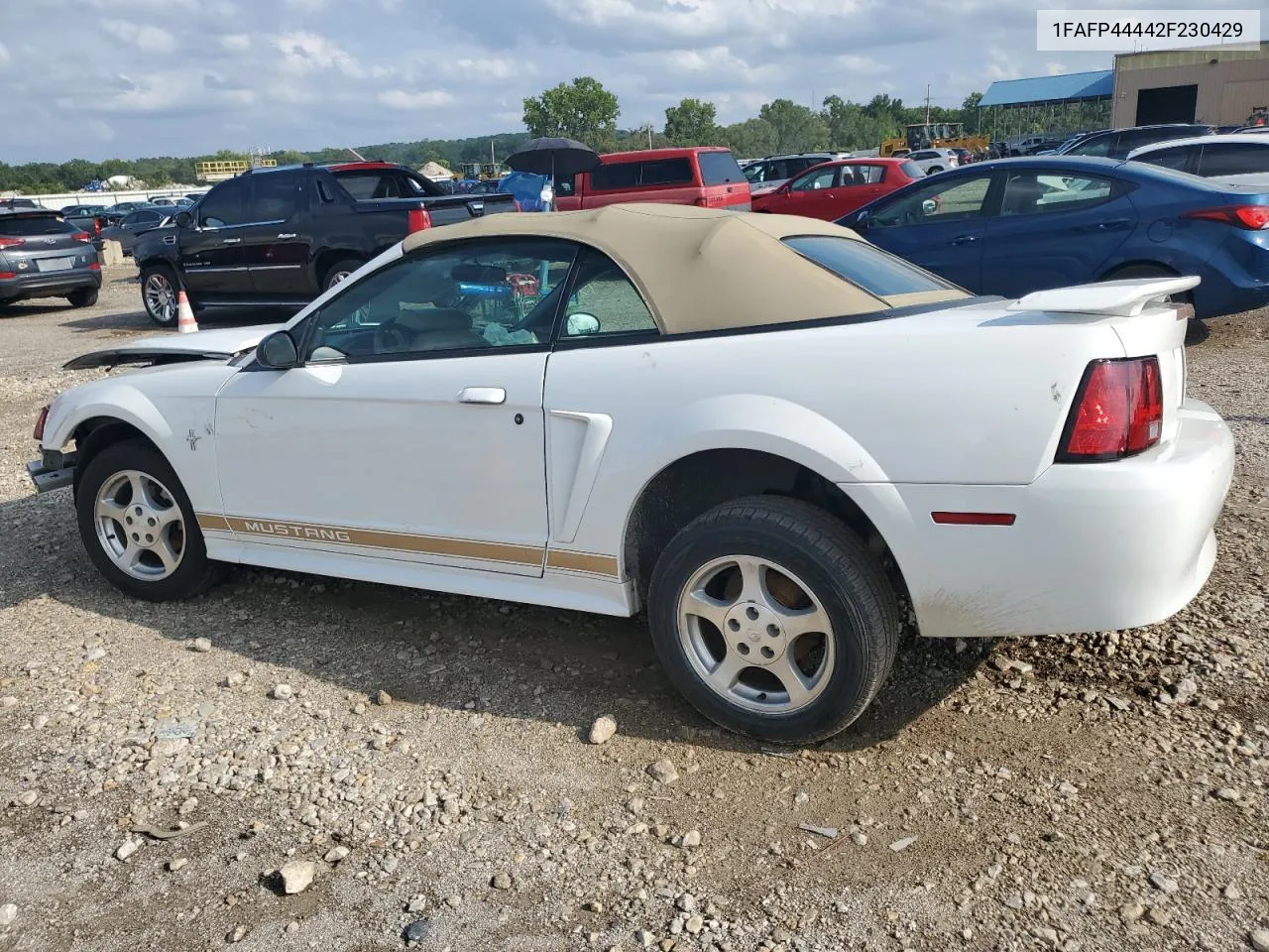 2002 Ford Mustang VIN: 1FAFP44442F230429 Lot: 66586194