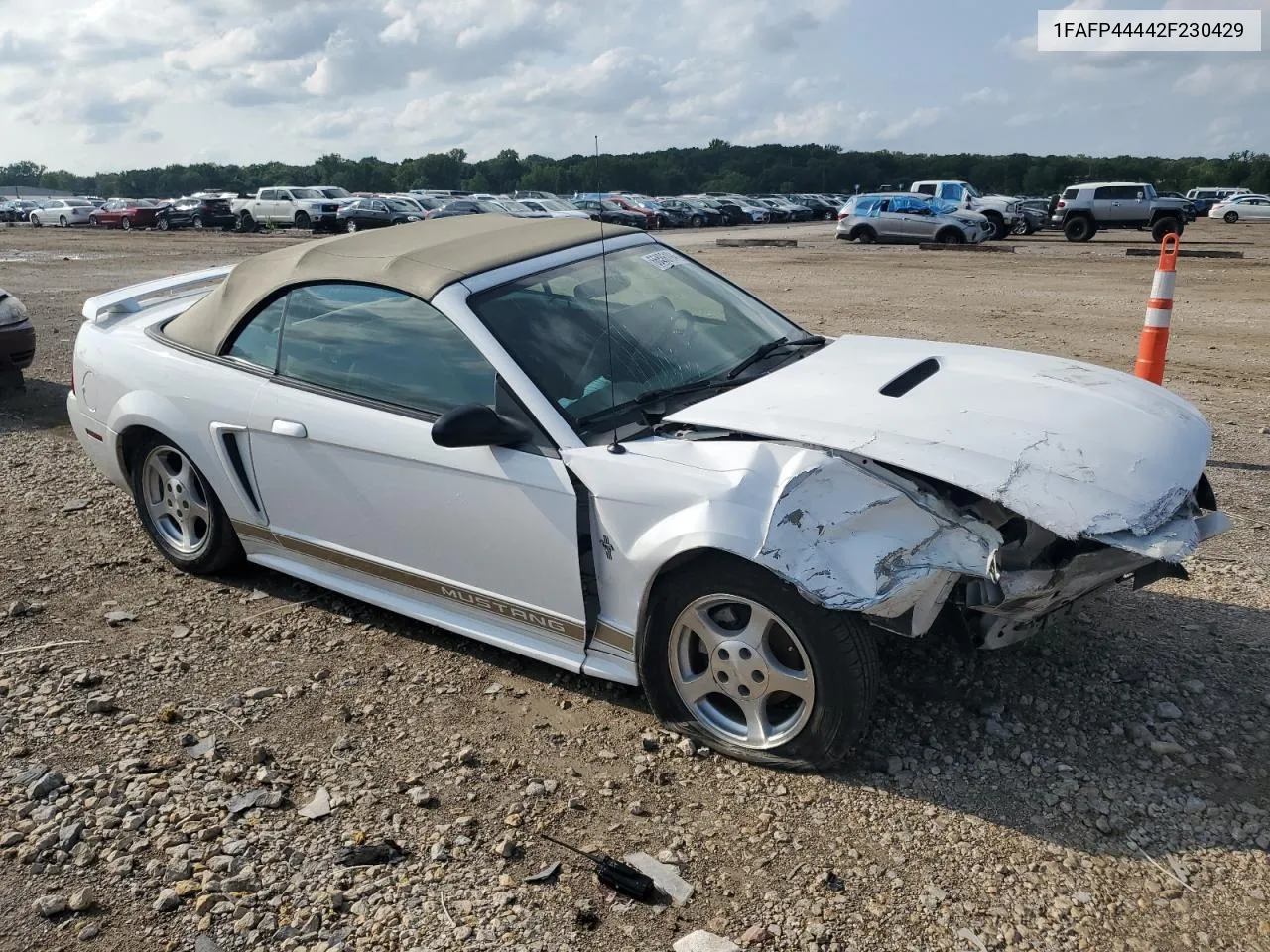 2002 Ford Mustang VIN: 1FAFP44442F230429 Lot: 66586194