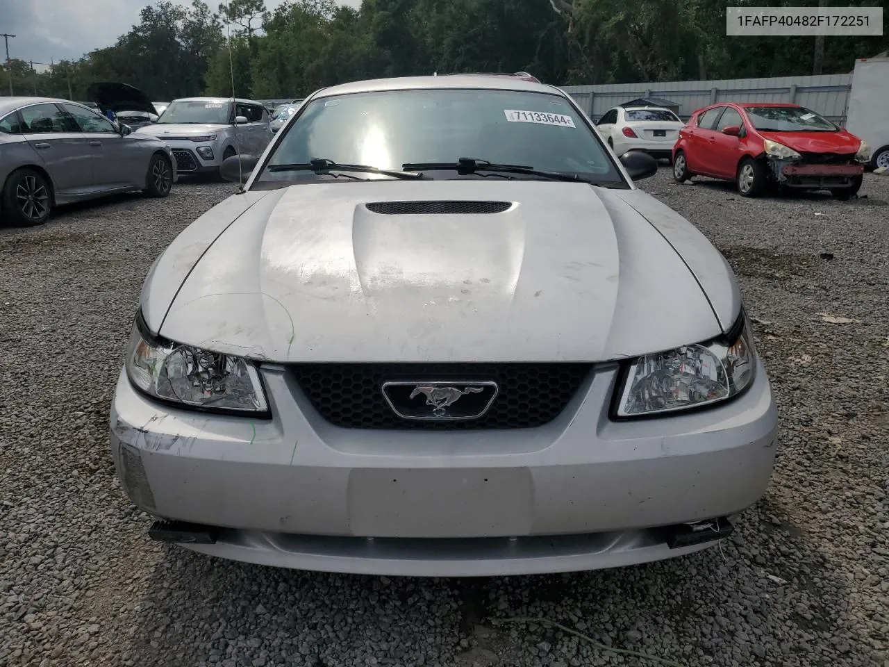 2002 Ford Mustang VIN: 1FAFP40482F172251 Lot: 71133644