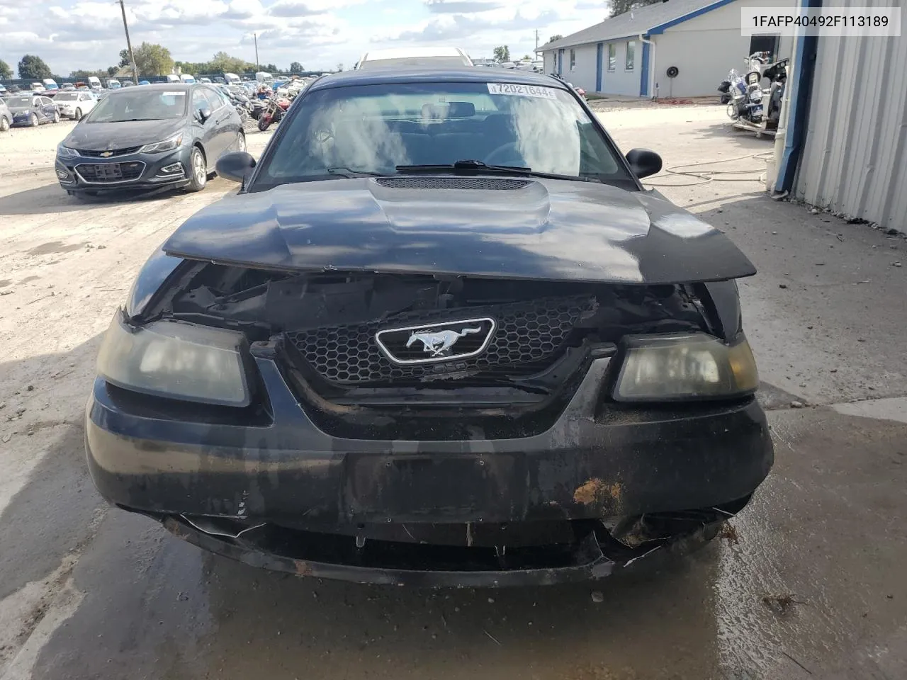 2002 Ford Mustang VIN: 1FAFP40492F113189 Lot: 72021644