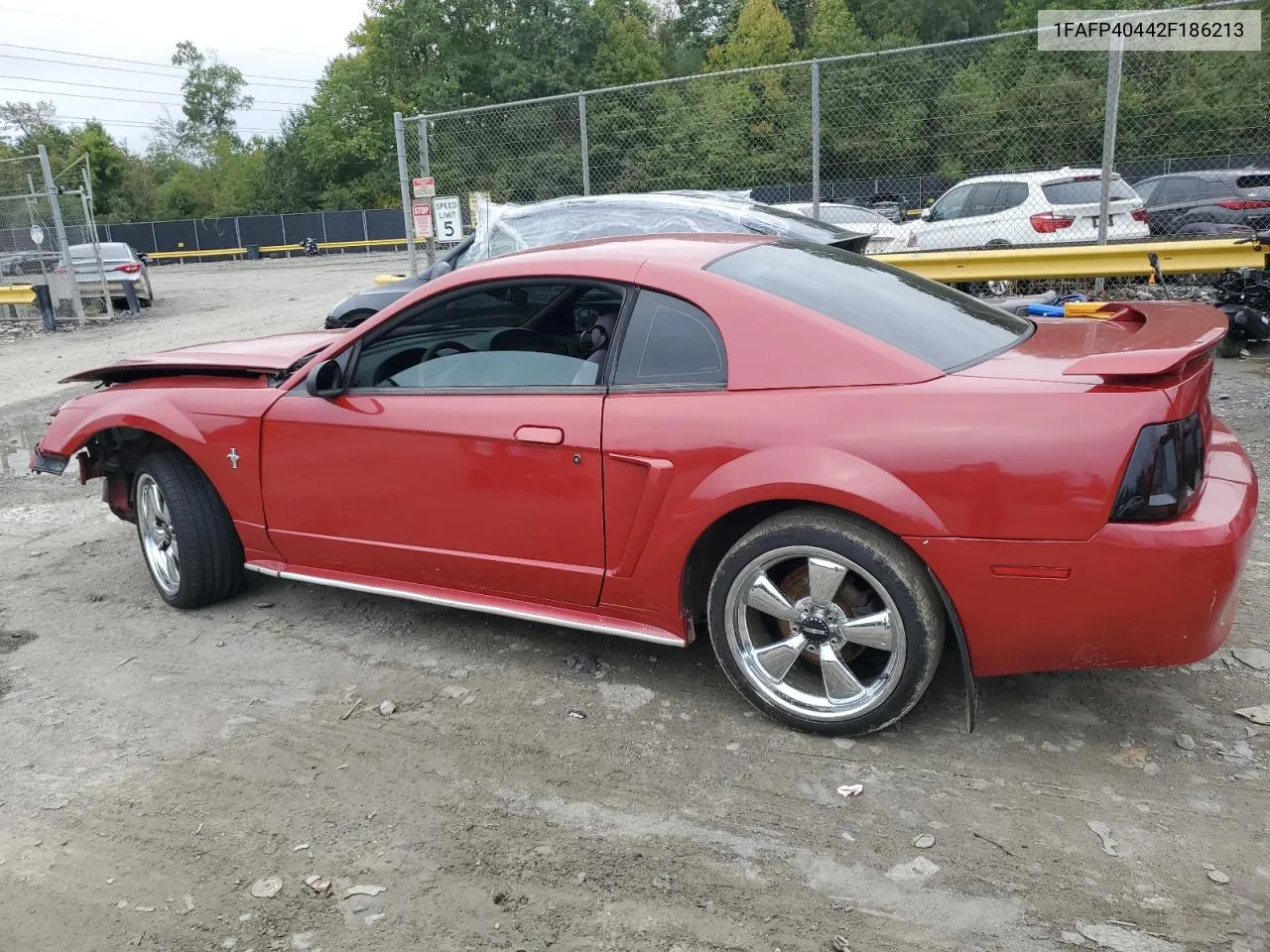 2002 Ford Mustang VIN: 1FAFP40442F186213 Lot: 72703174