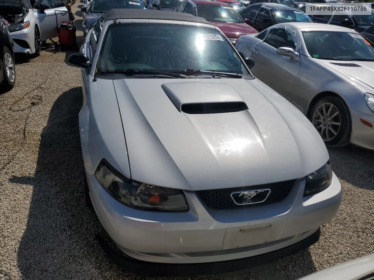 2002 Ford Mustang Gt VIN: 1FAFP45X82F110786 Lot: 73882674