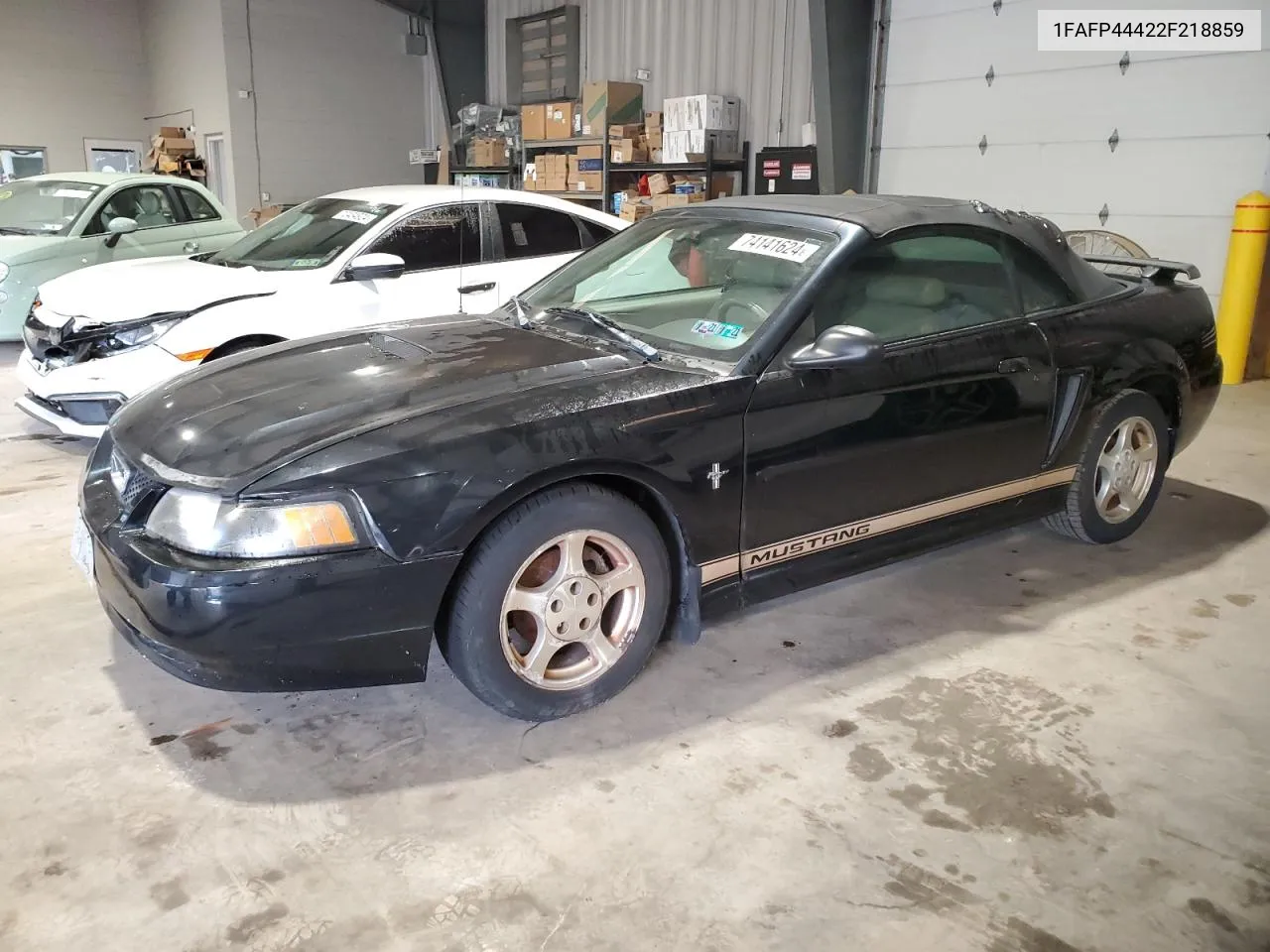 2002 Ford Mustang VIN: 1FAFP44422F218859 Lot: 74141624