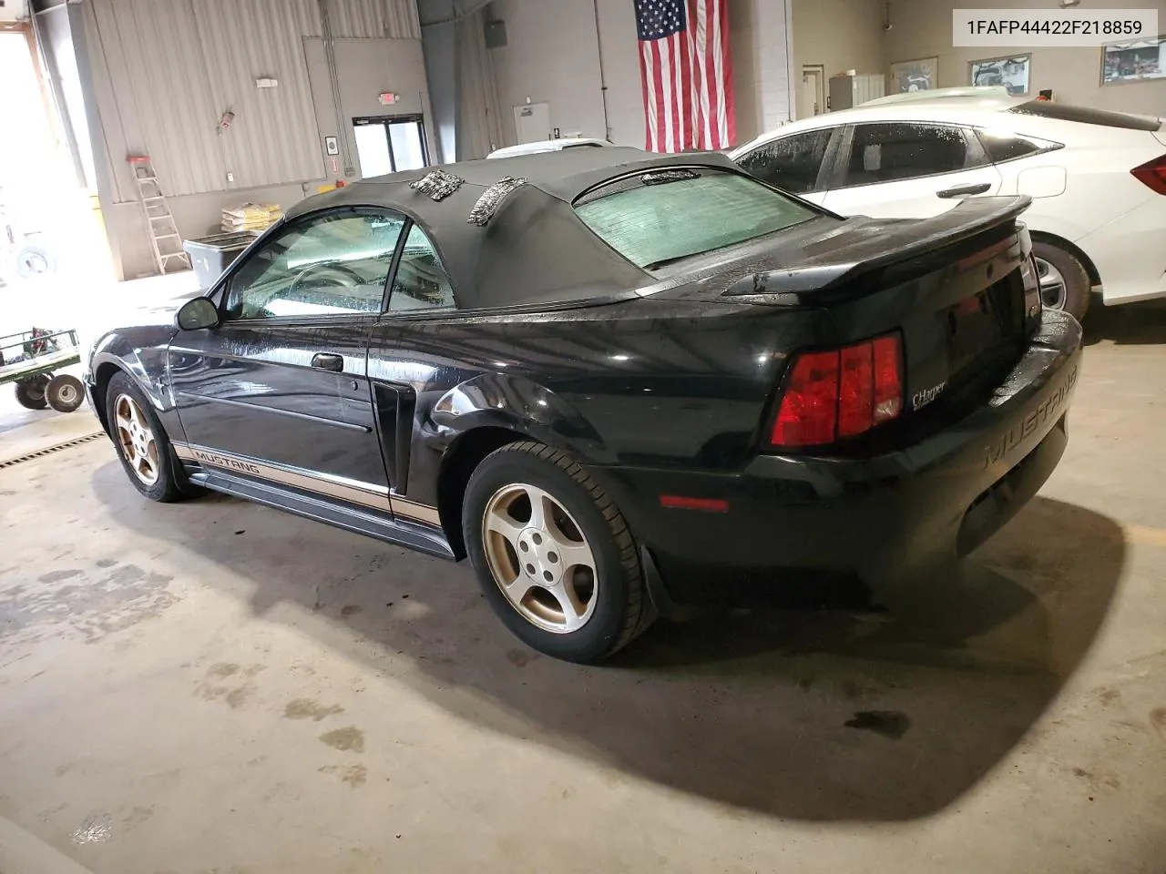 2002 Ford Mustang VIN: 1FAFP44422F218859 Lot: 74141624