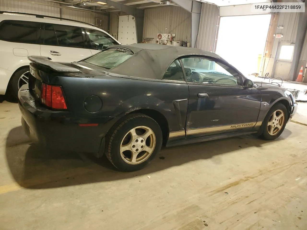 2002 Ford Mustang VIN: 1FAFP44422F218859 Lot: 74141624