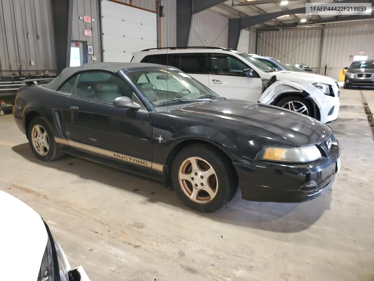 2002 Ford Mustang VIN: 1FAFP44422F218859 Lot: 74141624