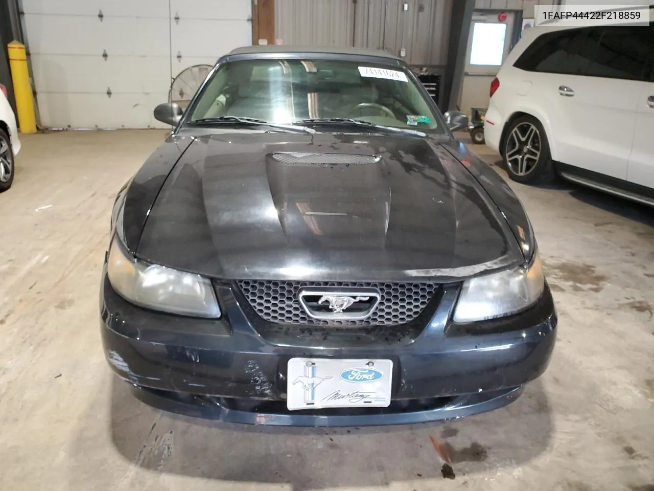 2002 Ford Mustang VIN: 1FAFP44422F218859 Lot: 74141624