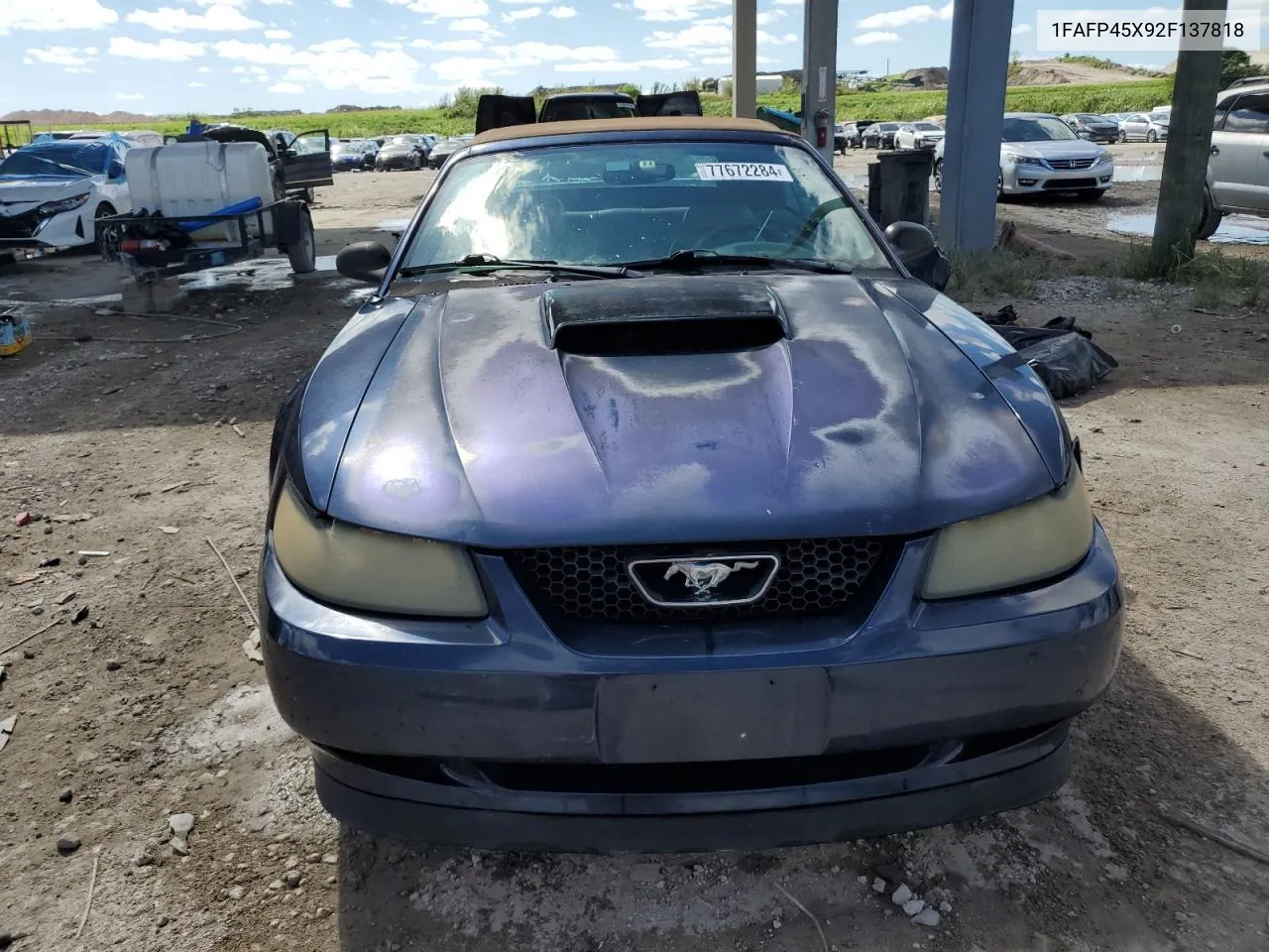 2002 Ford Mustang Gt VIN: 1FAFP45X92F137818 Lot: 77672284