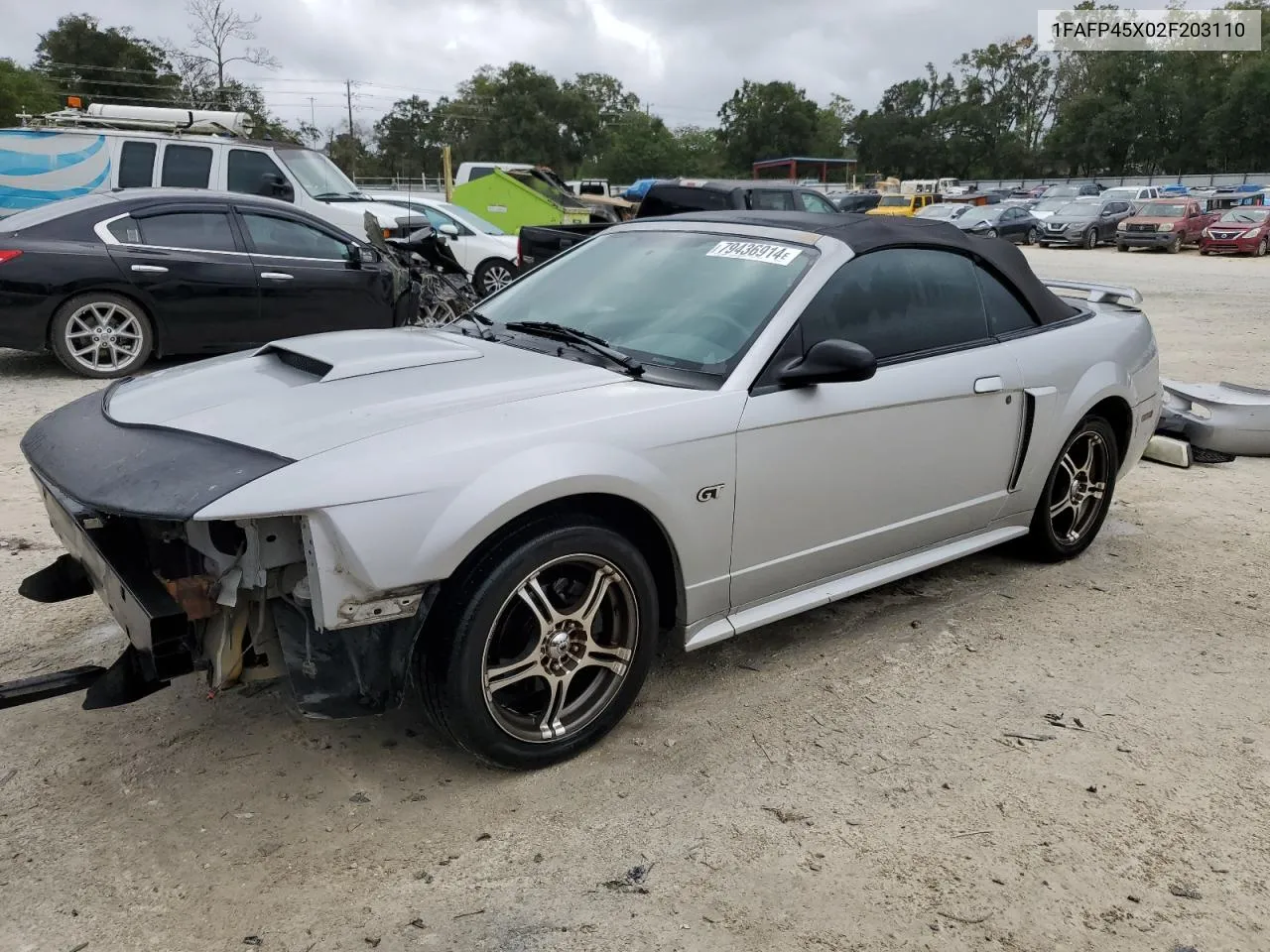 2002 Ford Mustang Gt VIN: 1FAFP45X02F203110 Lot: 79436914