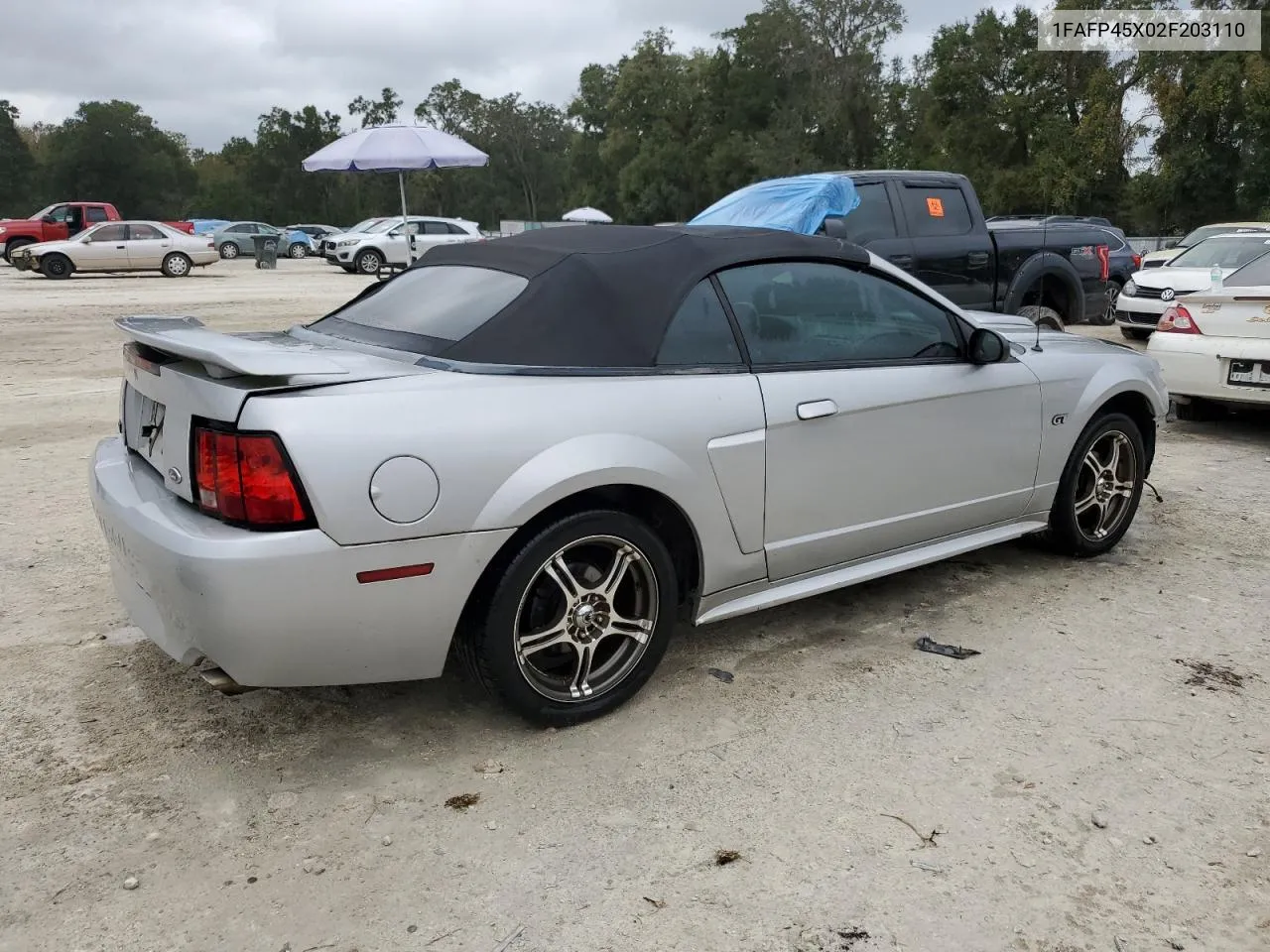 2002 Ford Mustang Gt VIN: 1FAFP45X02F203110 Lot: 79436914