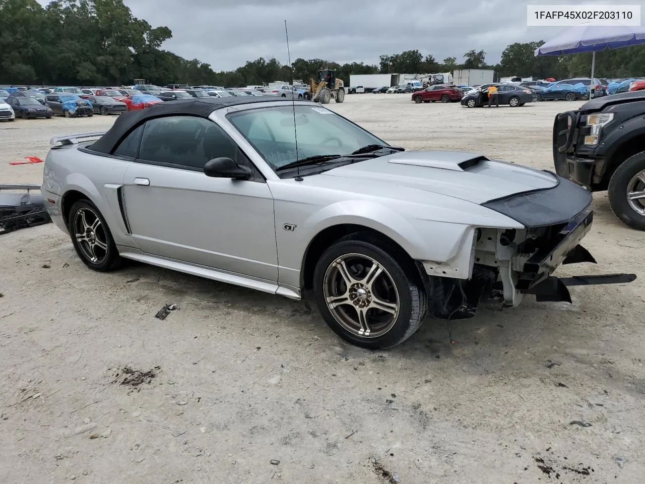 2002 Ford Mustang Gt VIN: 1FAFP45X02F203110 Lot: 79436914