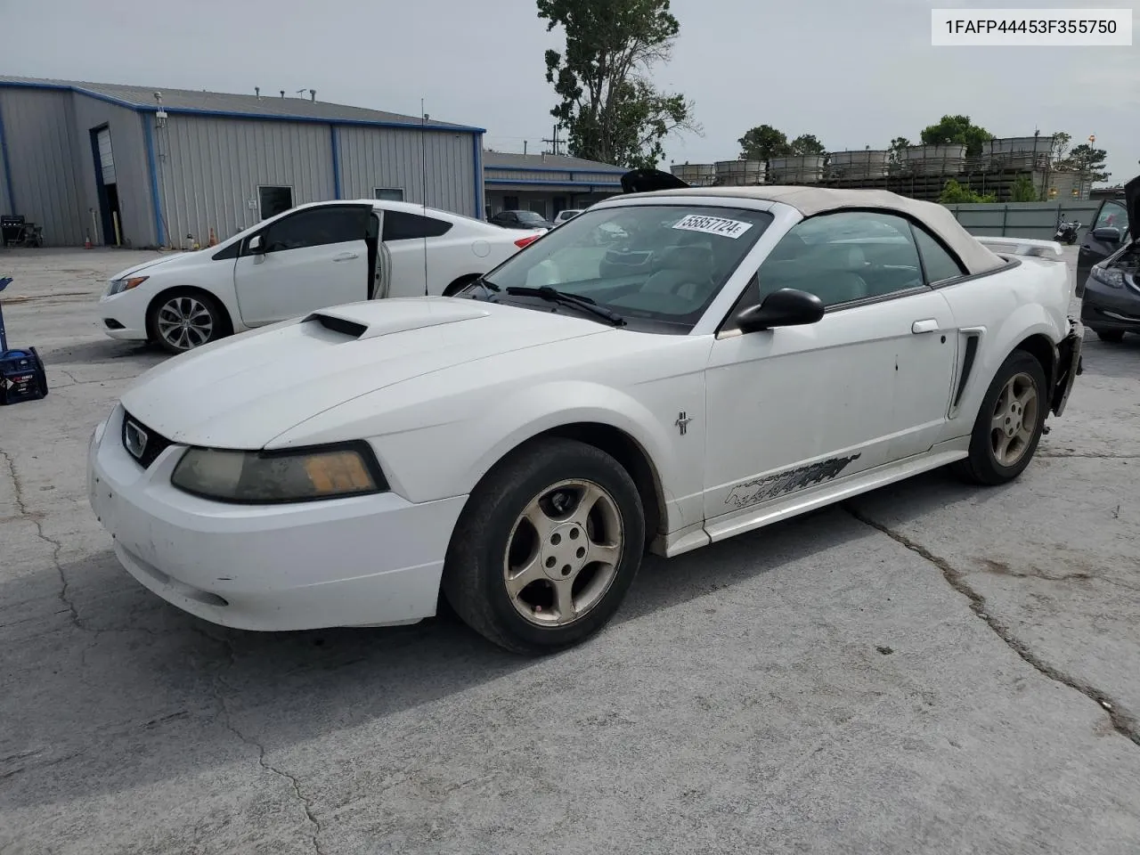 2003 Ford Mustang VIN: 1FAFP44453F355750 Lot: 55857724