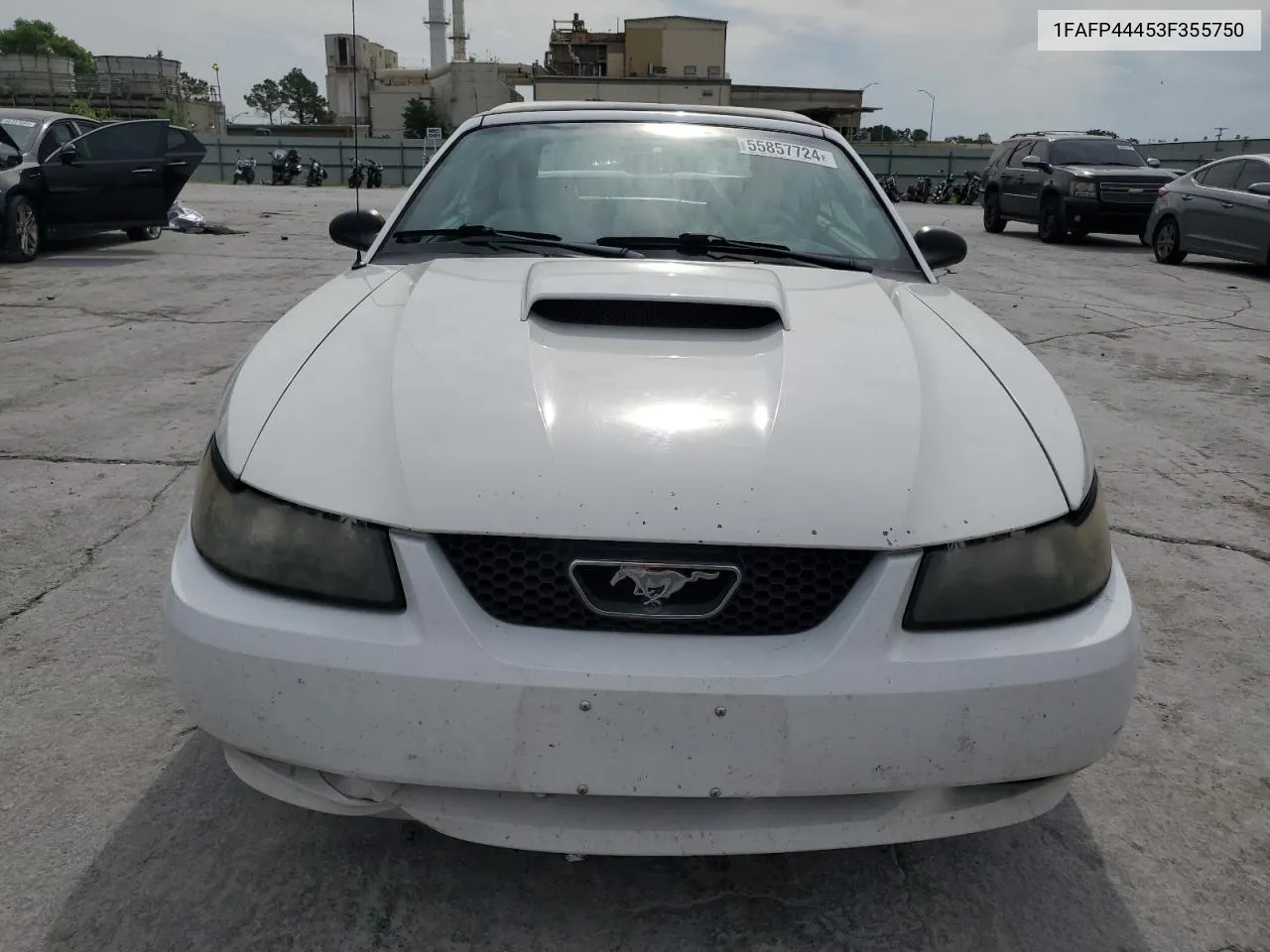 2003 Ford Mustang VIN: 1FAFP44453F355750 Lot: 55857724