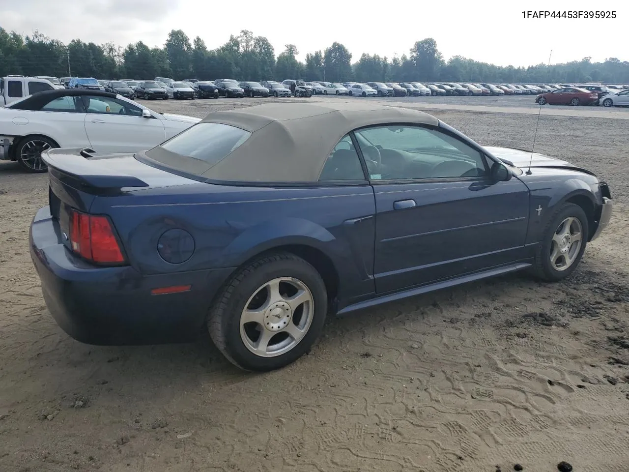 2003 Ford Mustang VIN: 1FAFP44453F395925 Lot: 62290494