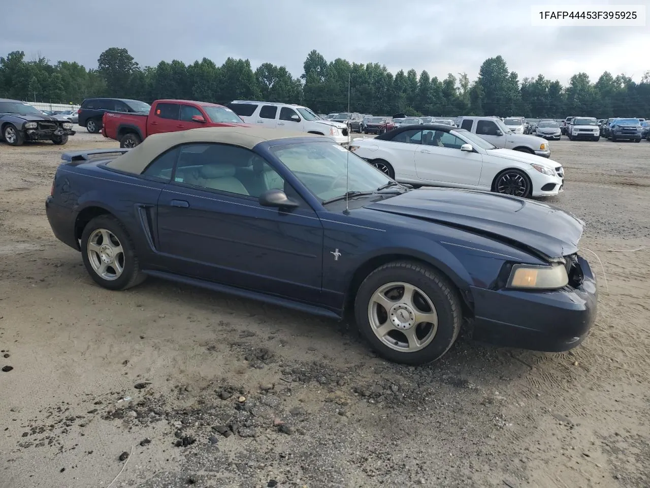 2003 Ford Mustang VIN: 1FAFP44453F395925 Lot: 62290494