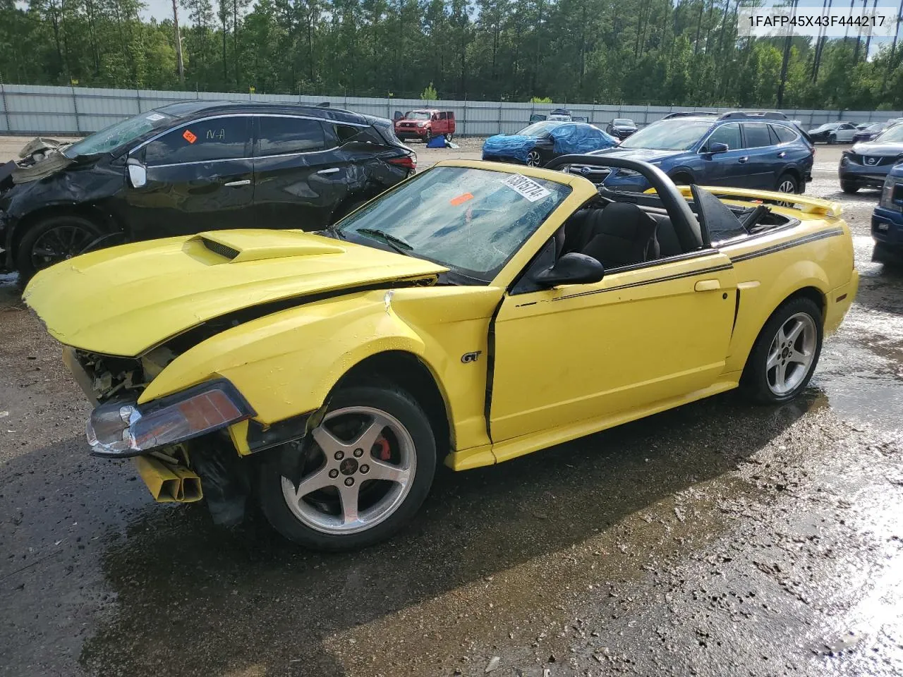 2003 Ford Mustang Gt VIN: 1FAFP45X43F444217 Lot: 63815774