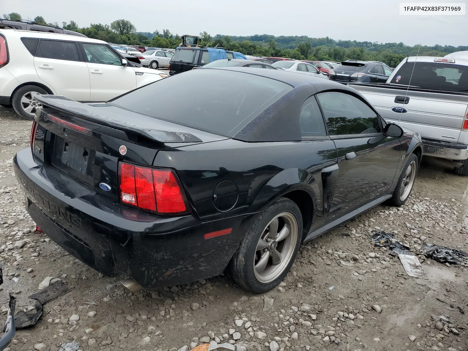 2003 Ford Mustang Gt VIN: 1FAFP42X83F371969 Lot: 67279884