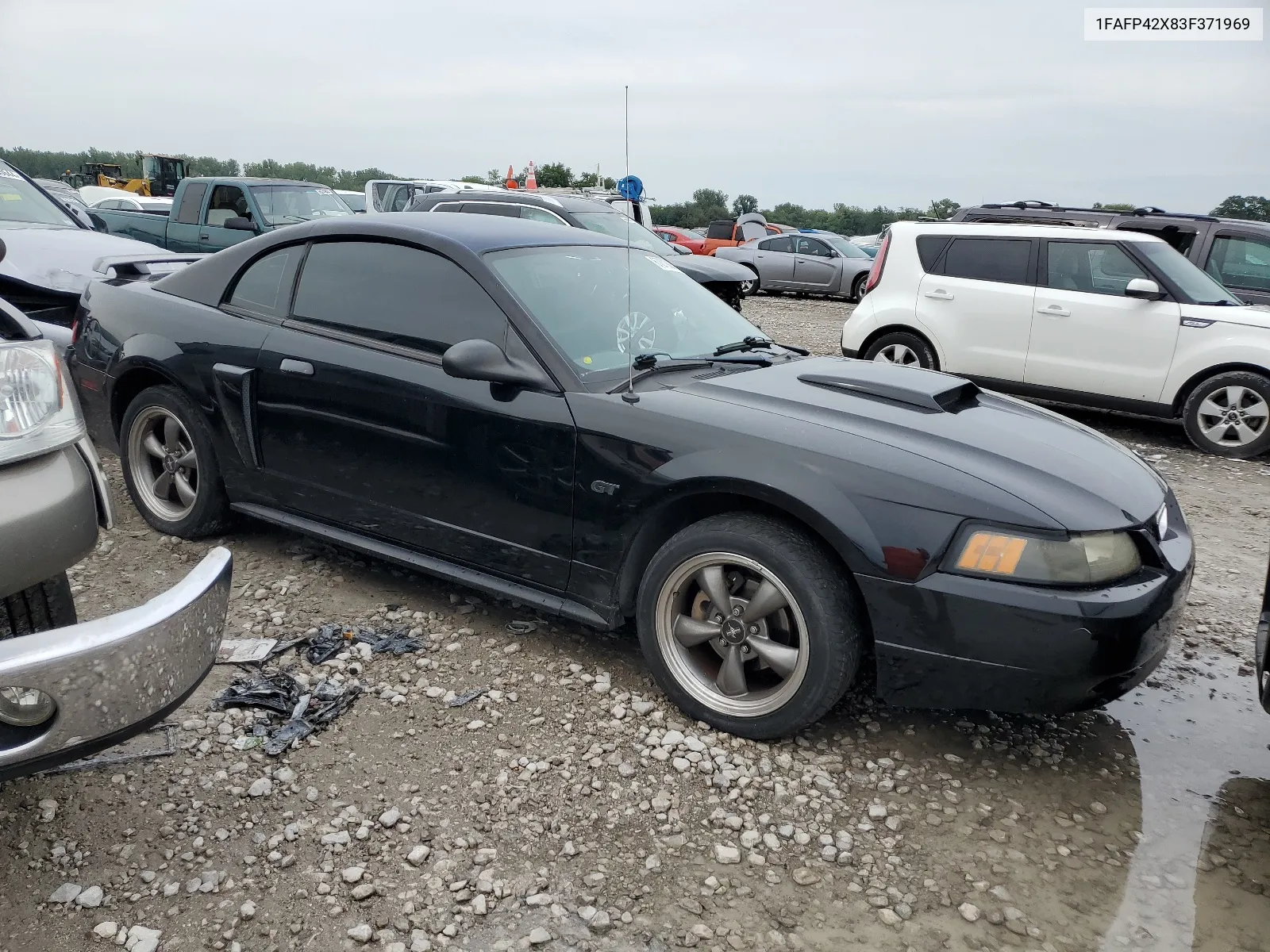 2003 Ford Mustang Gt VIN: 1FAFP42X83F371969 Lot: 67279884