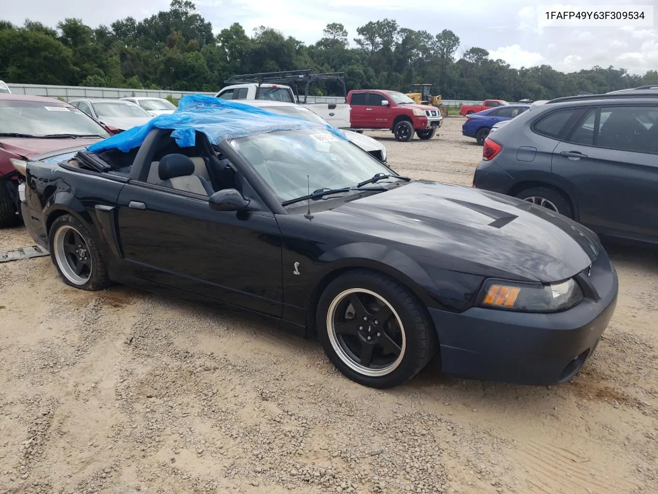 2003 Ford Mustang Cobra Svt VIN: 1FAFP49Y63F309534 Lot: 69459154