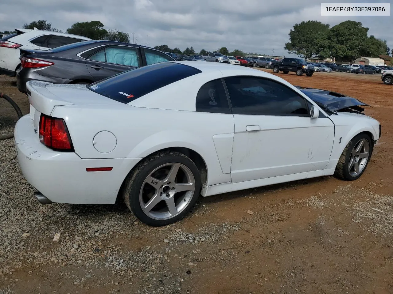 2003 Ford Mustang Cobra Svt VIN: 1FAFP48Y33F397086 Lot: 73212754