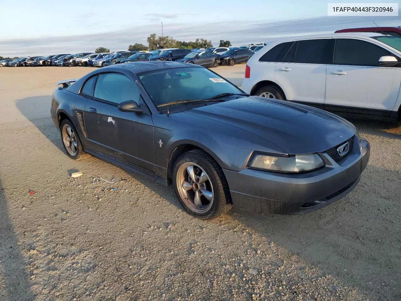 2003 Ford Mustang VIN: 1FAFP40443F320946 Lot: 74083154