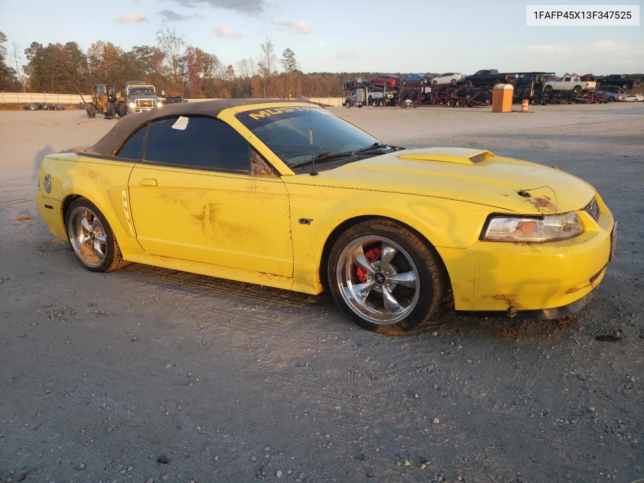 2003 Ford Mustang Gt VIN: 1FAFP45X13F347525 Lot: 78795174