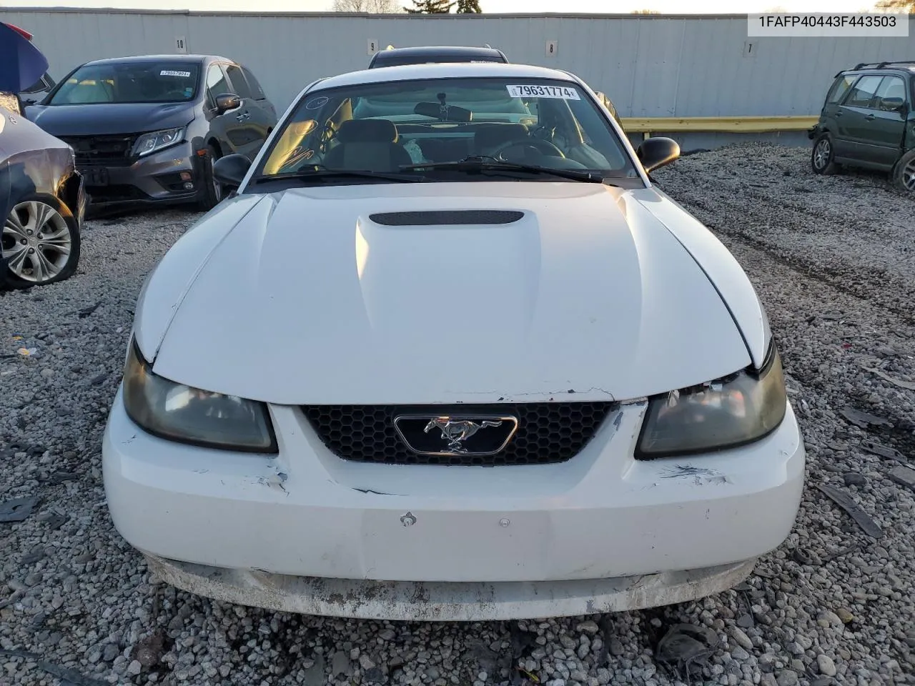 2003 Ford Mustang VIN: 1FAFP40443F443503 Lot: 79631774