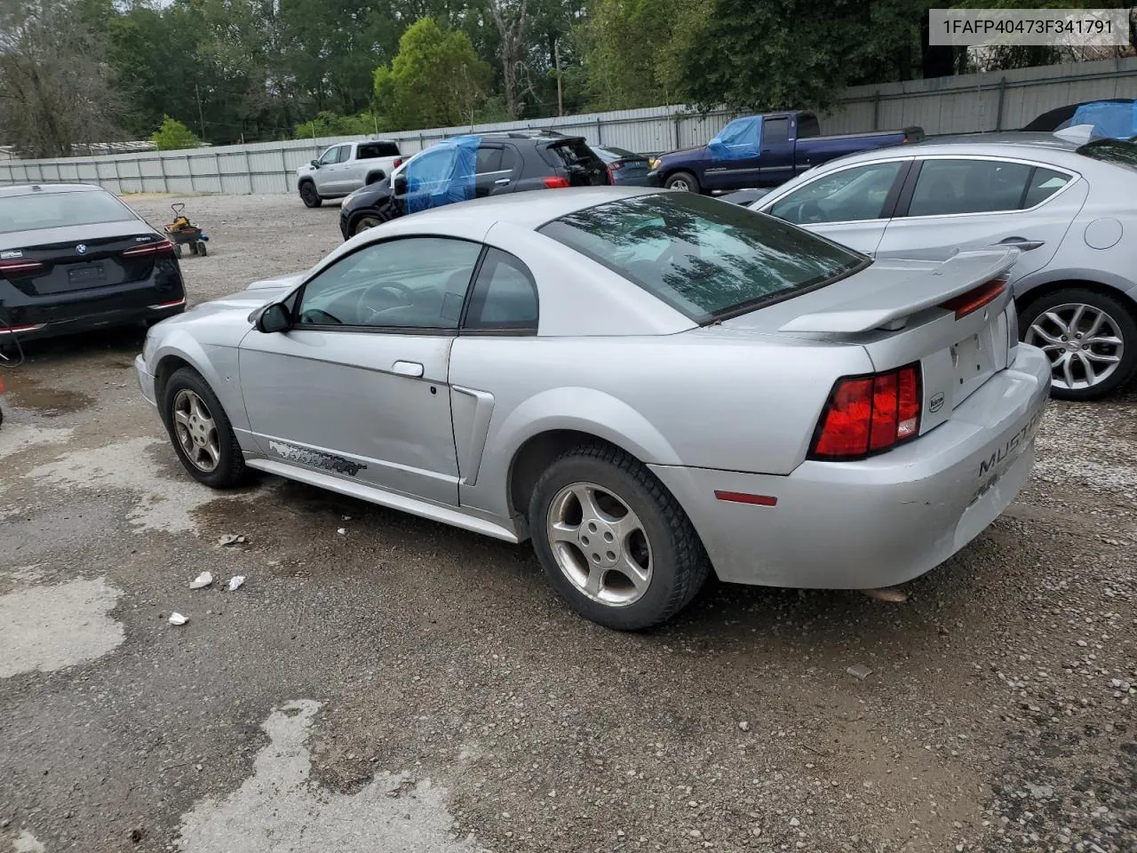 2003 Ford Mustang VIN: 1FAFP40473F341791 Lot: 80160324