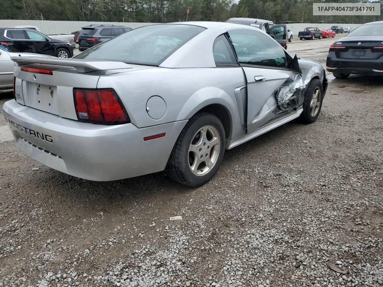 2003 Ford Mustang VIN: 1FAFP40473F341791 Lot: 80160324